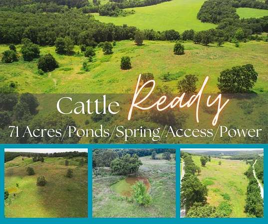 71 Acres of Recreational Land for Sale in Hartville, Missouri