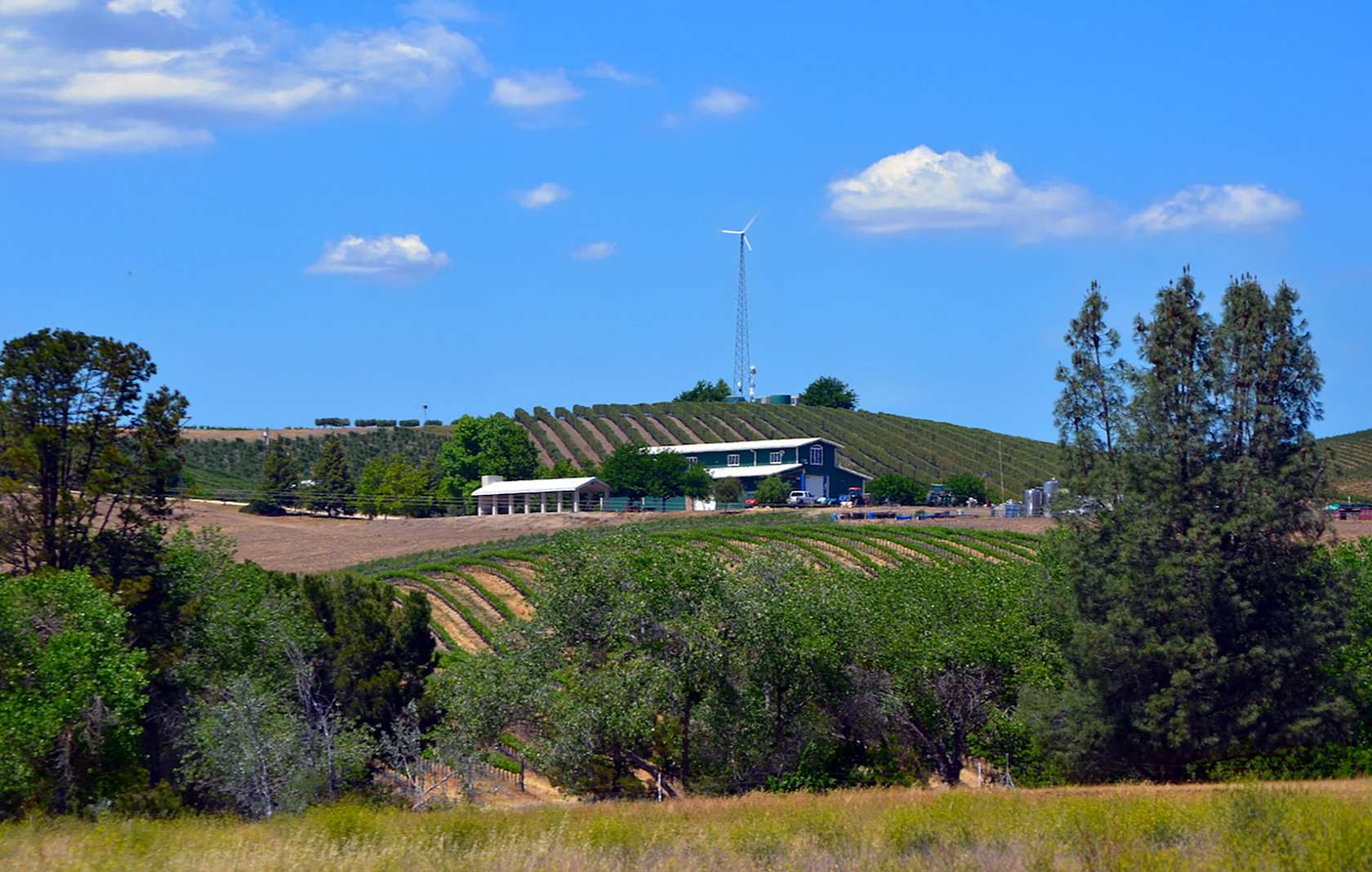 163 Acres of Improved Agricultural Land for Sale in San Miguel, California