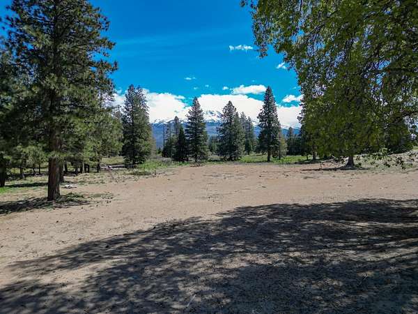 35 Acres of Commercial Land for Sale in Weed, California