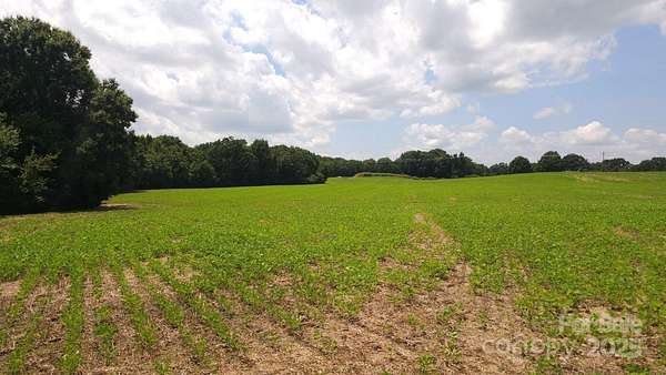 82.5 Acres of Recreational Land for Sale in Peachland, North Carolina