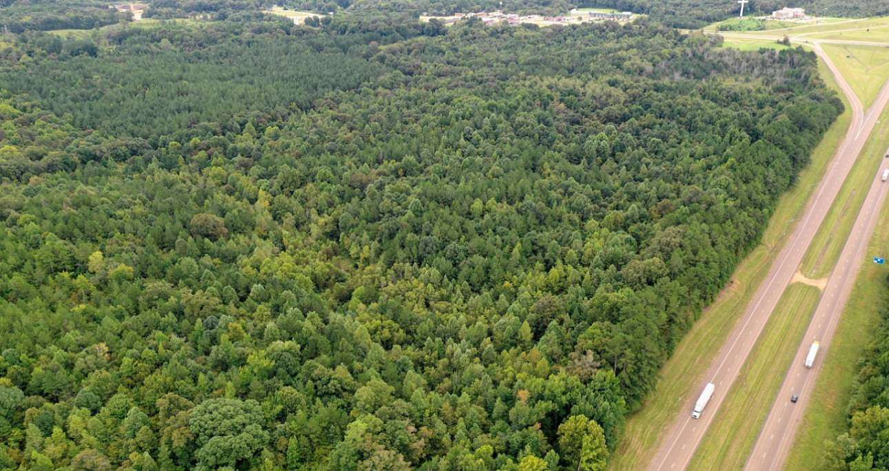 90 Acres of Land for Sale in Winona, Mississippi