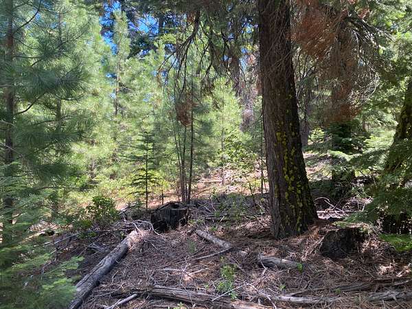 1 Acre of Residential Land for - Alturas Ca 145473859