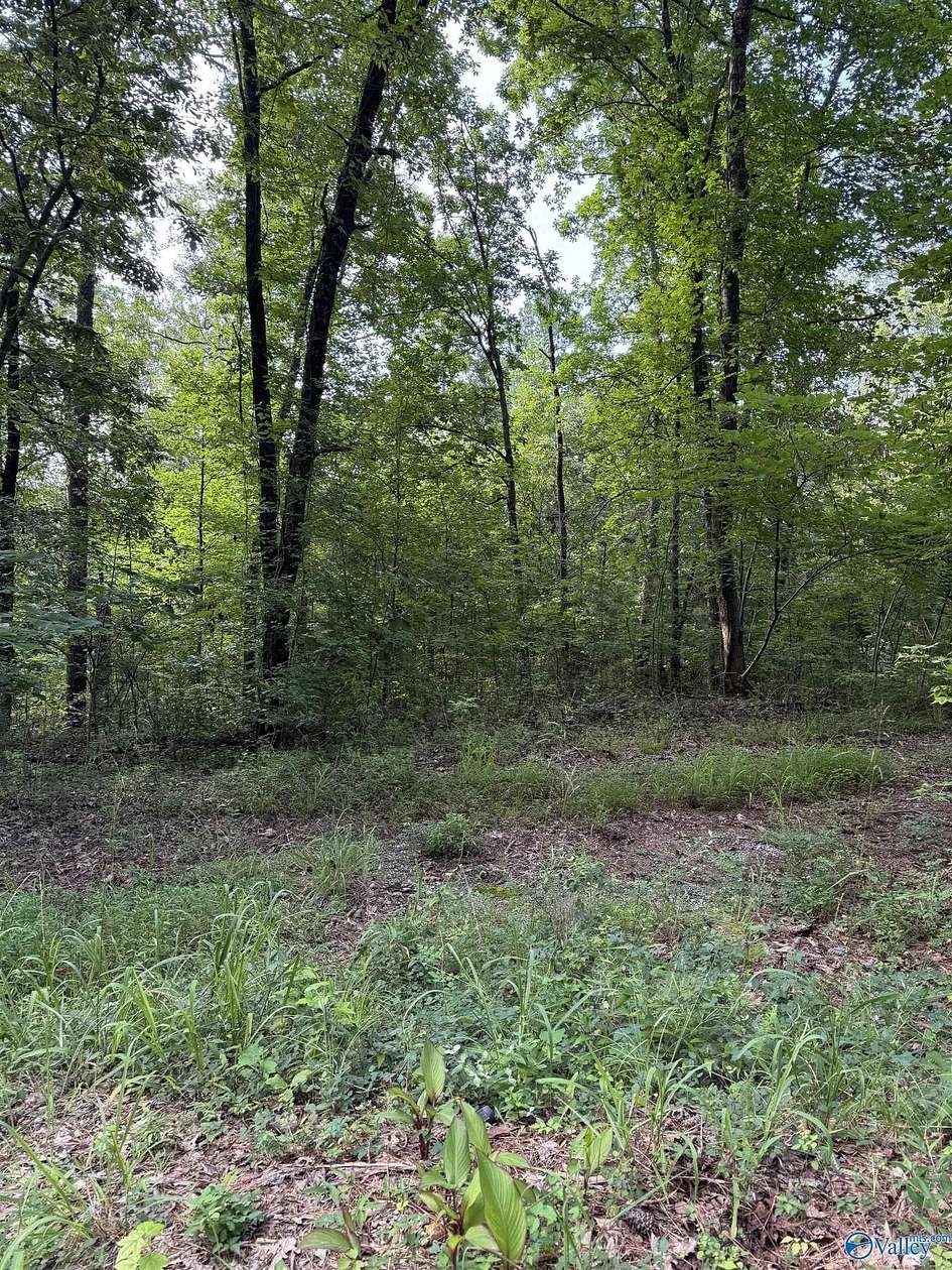 1 Acre of Land for Sale in Glencoe, Alabama