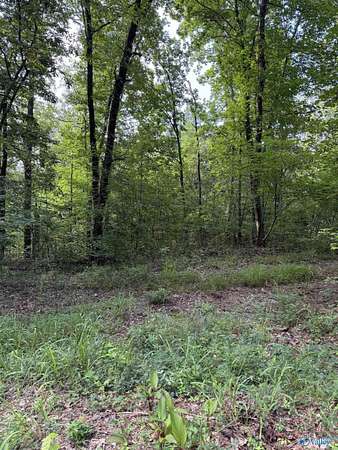 1 Acre of Land for Sale in Glencoe, Alabama