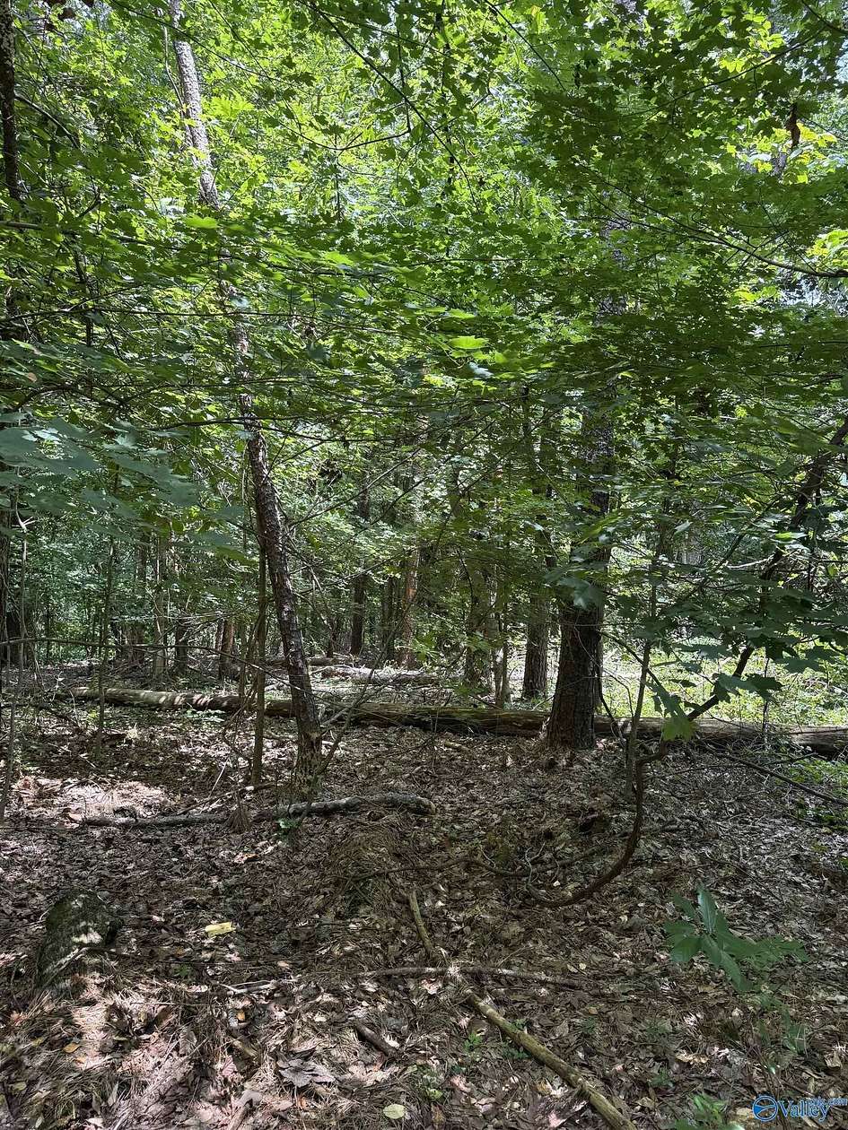 0.62 Acres of Land for Sale in Glencoe, Alabama