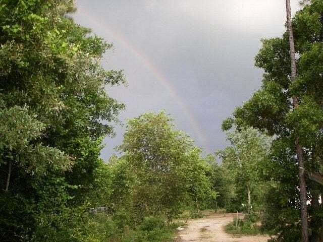 6 Acres of Land for Sale in Trenton, South Carolina