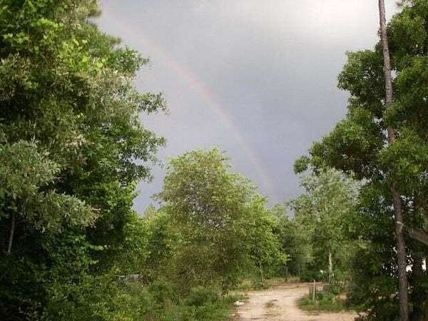 6 Acres of Land for Sale in Trenton, South Carolina