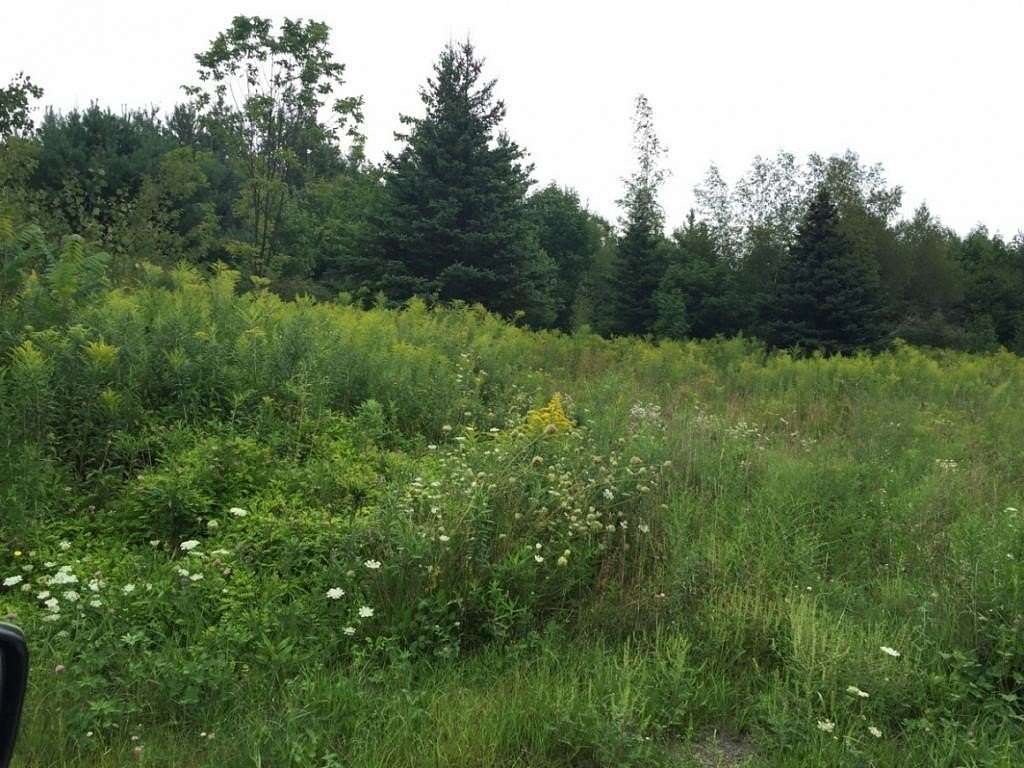 125 Acres of Recreational Land & Farm for Sale in Windsor, New York
