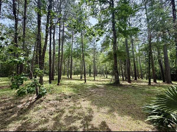 4 Acres of Residential Land for Sale in Huntsville, Texas