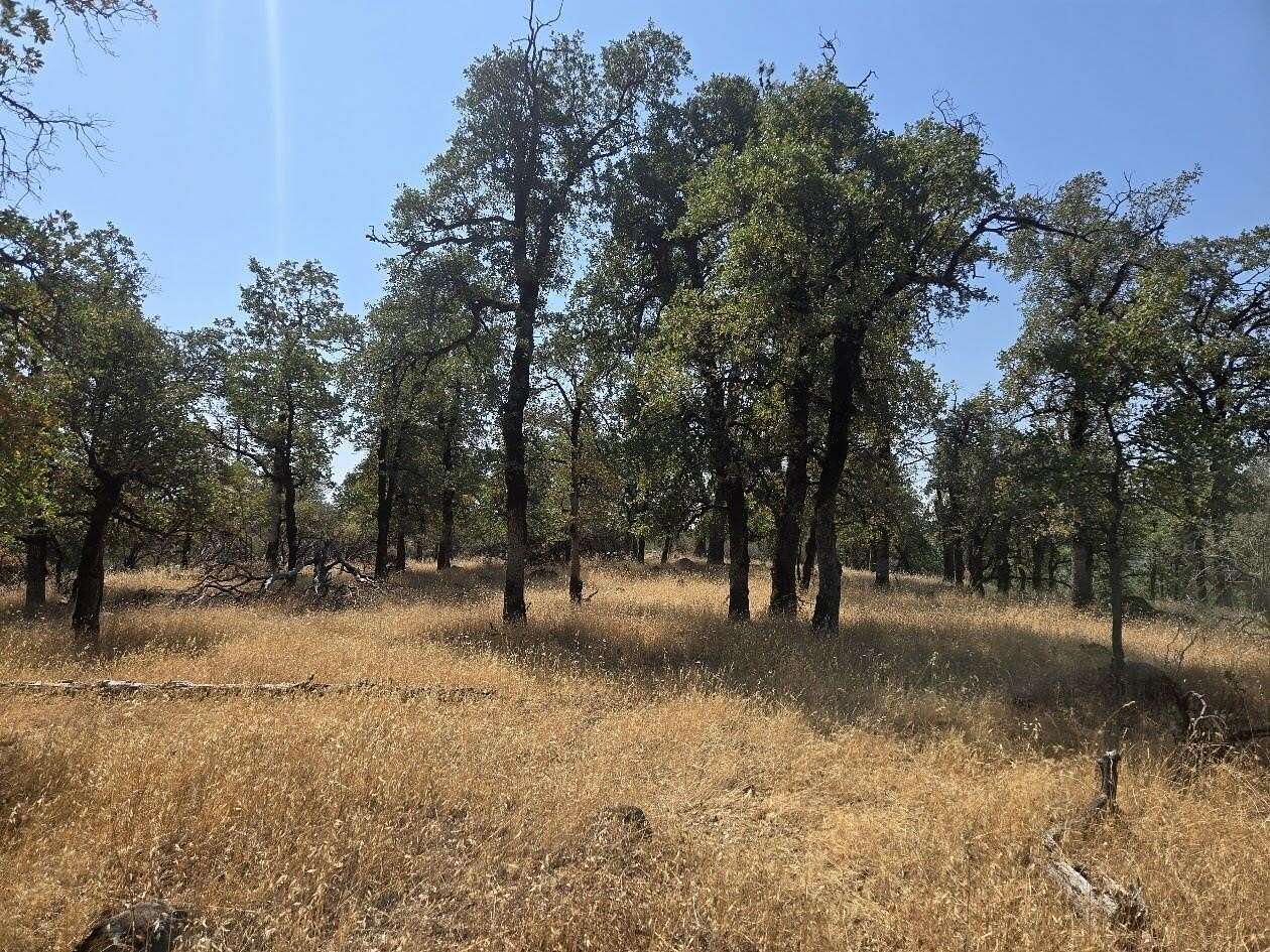 19 Acres of Land for Sale in Bella Vista, California
