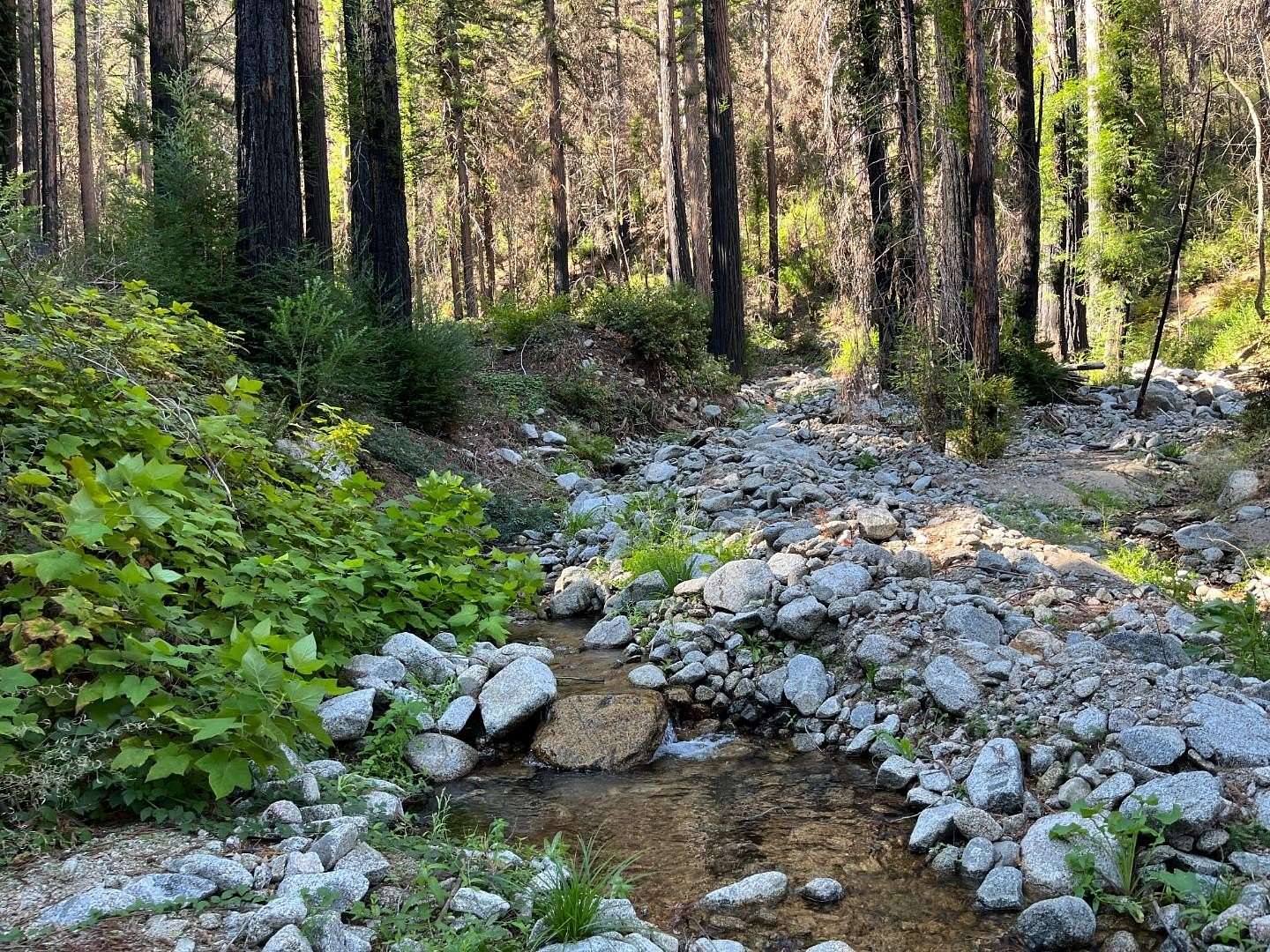 0.4 Acres of Residential Land for Sale in Boulder Creek, California