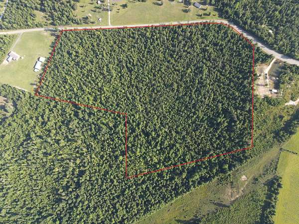 37.2 Acres of Recreational & Residential Land for Sale in Altha, Florida