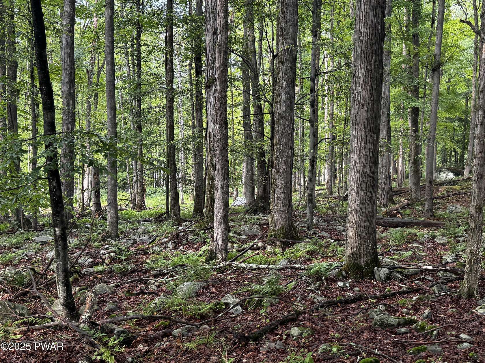 0.49 Acres of Residential Land for Sale in Greentown, Pennsylvania