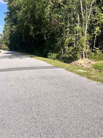 0.66 Acres of Residential Land for Sale in Dillon, South Carolina