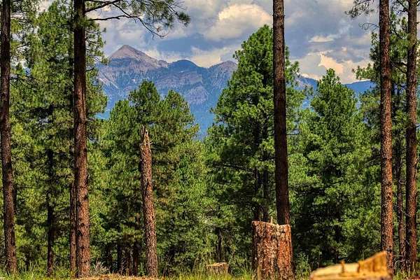 35.6 Acres of Recreational Land for Sale in Pagosa Springs, Colorado