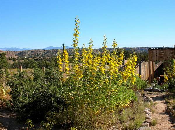 5.53 Acres of Land for Sale in Cerrillos, New Mexico