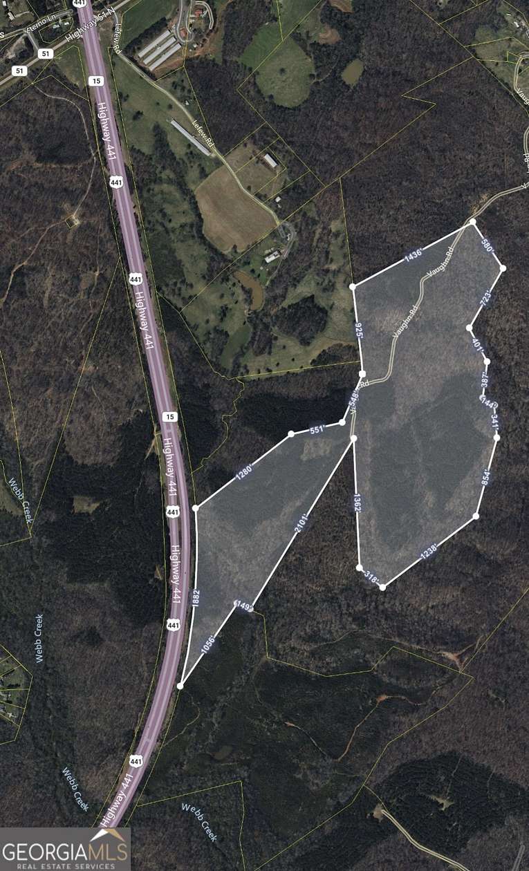 161 Acres of Land for Sale in Homer, Georgia