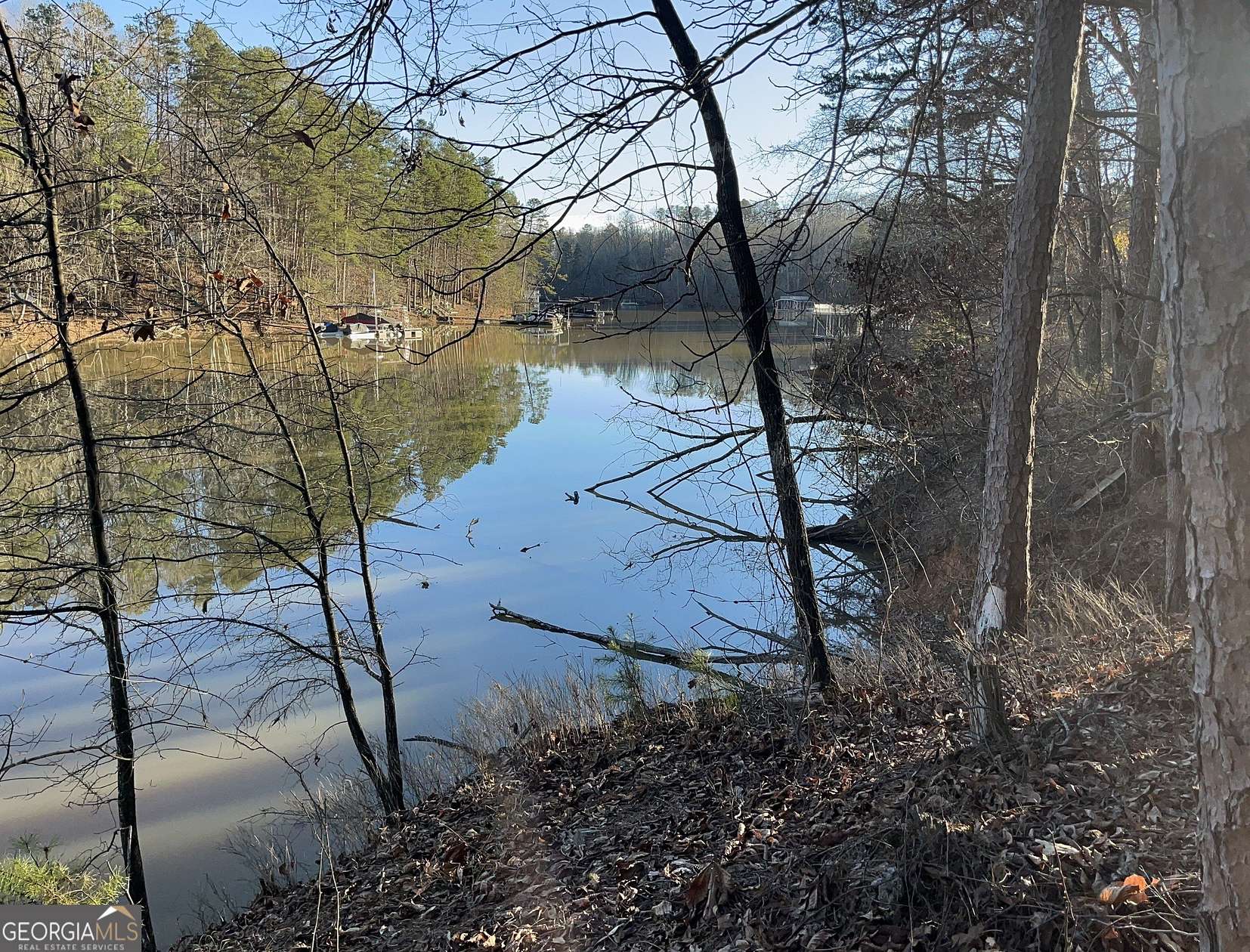 19.7 Acres of Land for Sale in Gainesville, Georgia