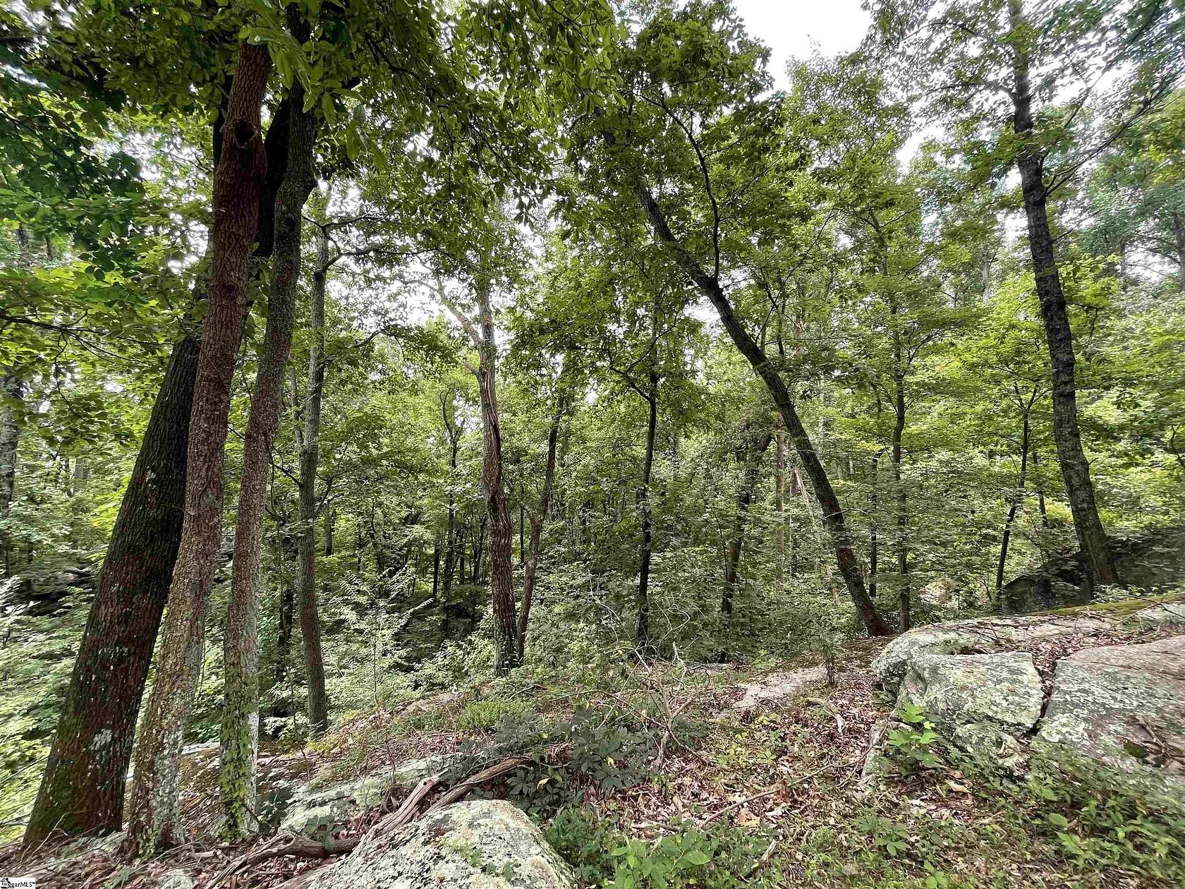 18.6 Acres of Land for Sale in Landrum, South Carolina