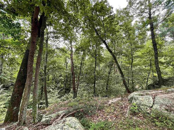 18.6 Acres of Land for Sale in Landrum, South Carolina