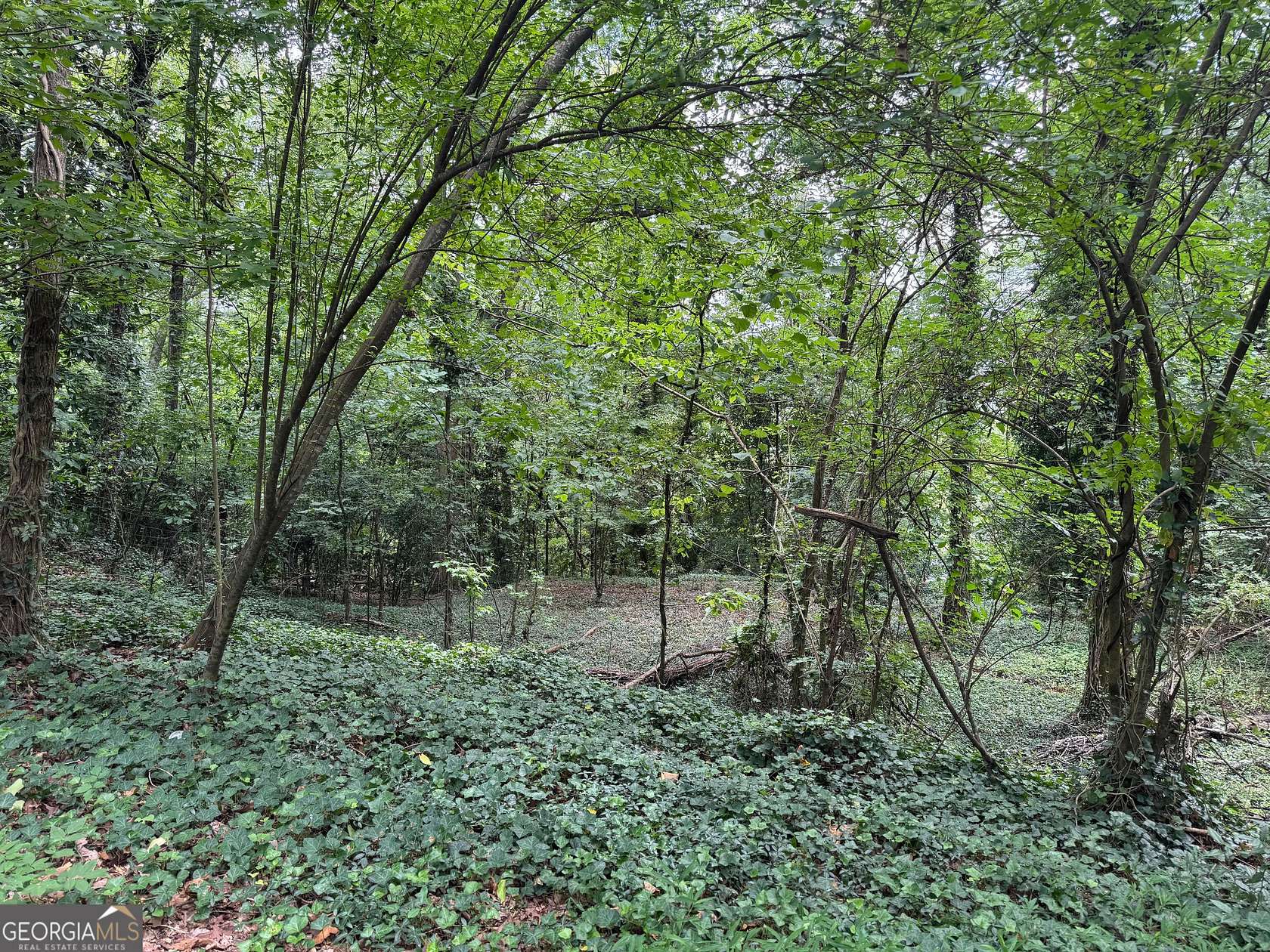 0.52 Acres of Residential Land for Sale in Rome, Georgia