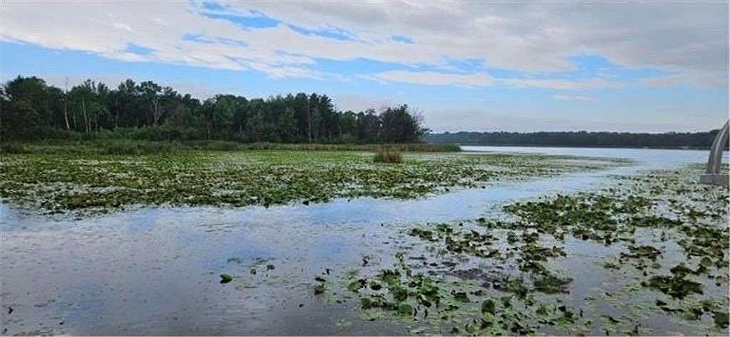 6.8 Acres of Land for Sale in Baxter, Minnesota