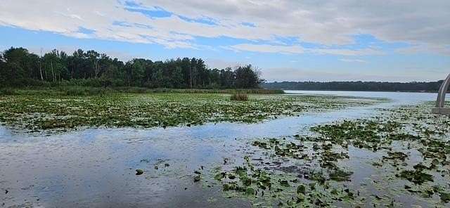 6.8 Acres of Land for Sale in Baxter, Minnesota