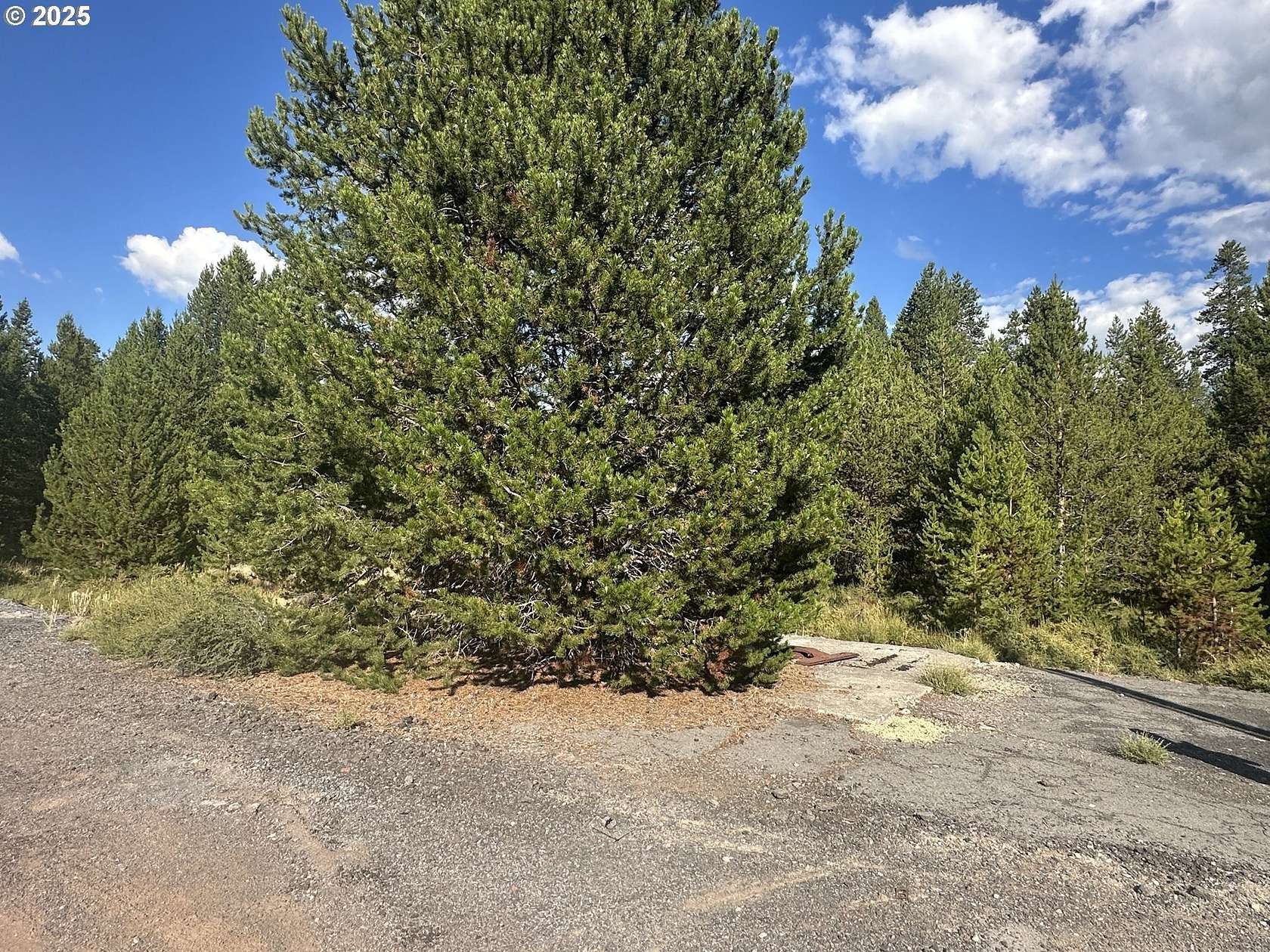 0.46 Acres of Commercial Land for Sale in Crescent, Oregon