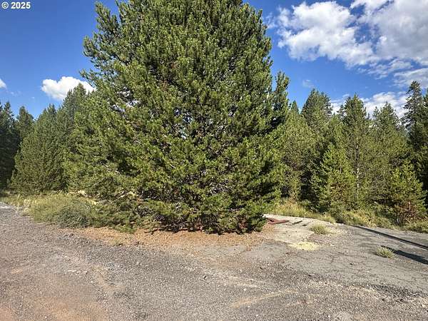 0.46 Acres of Commercial Land for Sale in Crescent, Oregon