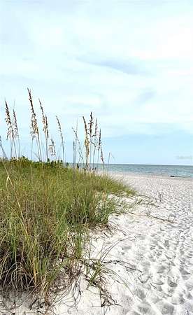 0.23 Acres of Residential Land for Sale in Port Charlotte, Florida