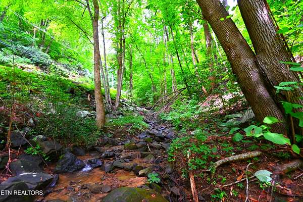 0.37 Acres of Land for Sale in Gatlinburg, Tennessee