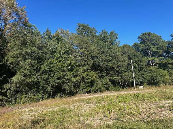 1.23 Acres of Mixed-Use Land for Sale in St. Stephen, South Carolina