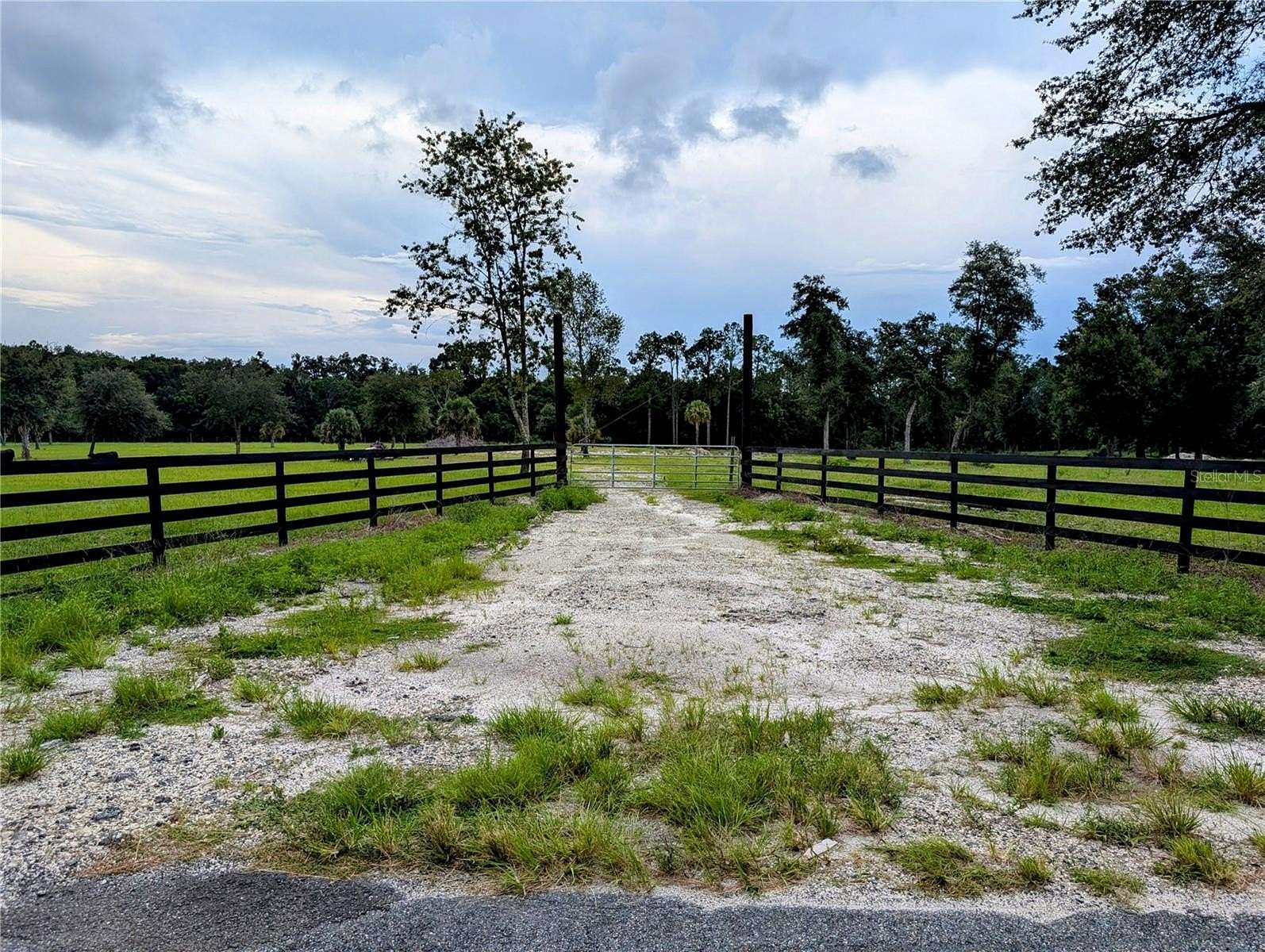 15 Acres of Land for Sale in Pierson, Florida