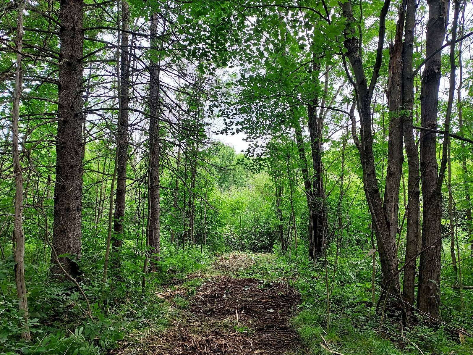 4.76 Acres of Land for Sale in Catawba, Wisconsin