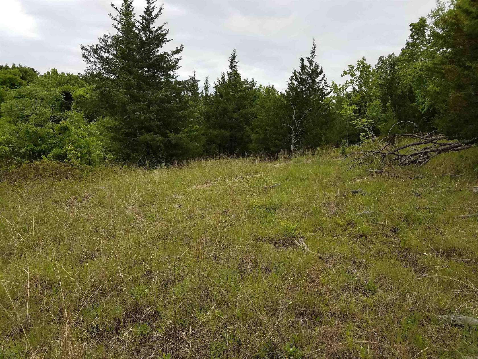 47.2 Acres of Agricultural Land for Sale in Saratoga, Arkansas