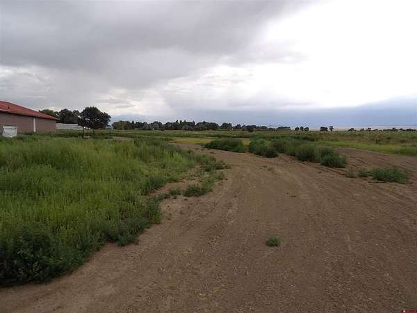 3 Acres of Improved Commercial Land for Sale in La Jara, Colorado