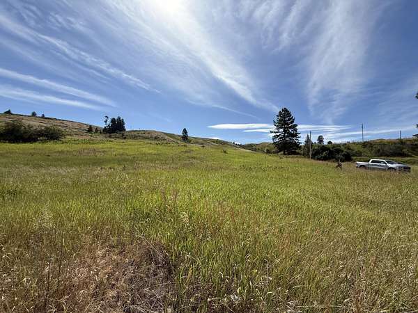 10.7 Acres of Land for Sale in Curlew, Washington