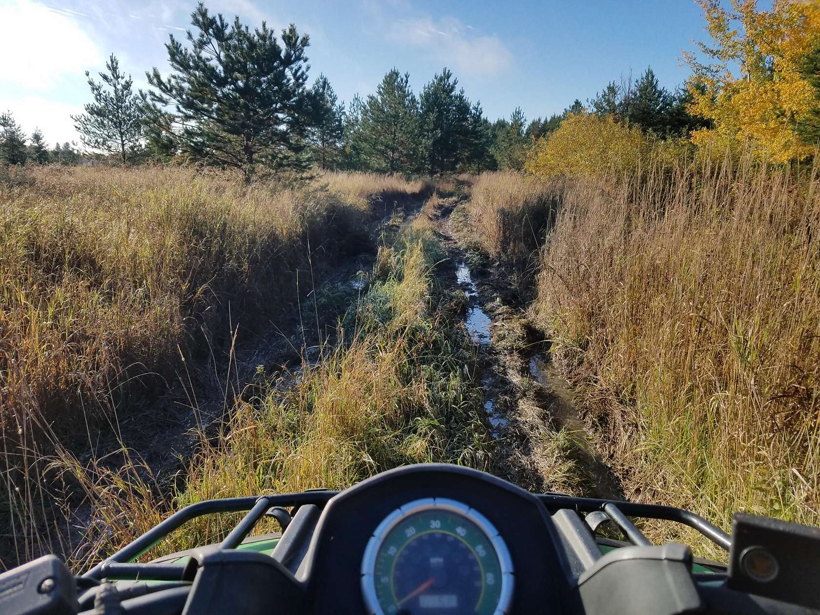 40 Acres of Recreational Land for Sale in Barbeau, Michigan