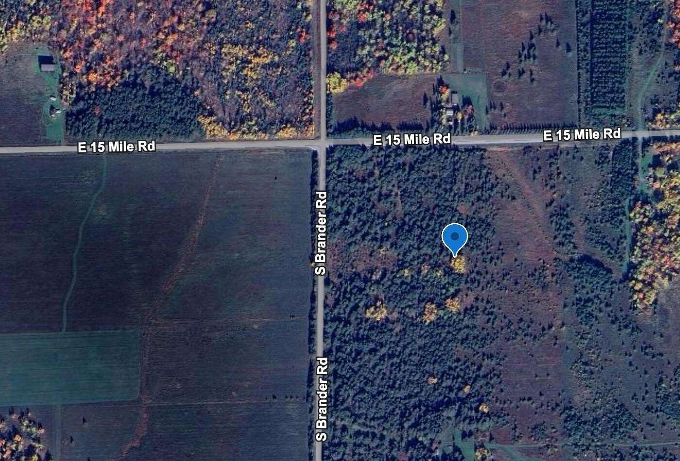 40 Acres of Recreational Land for Sale in Barbeau, Michigan