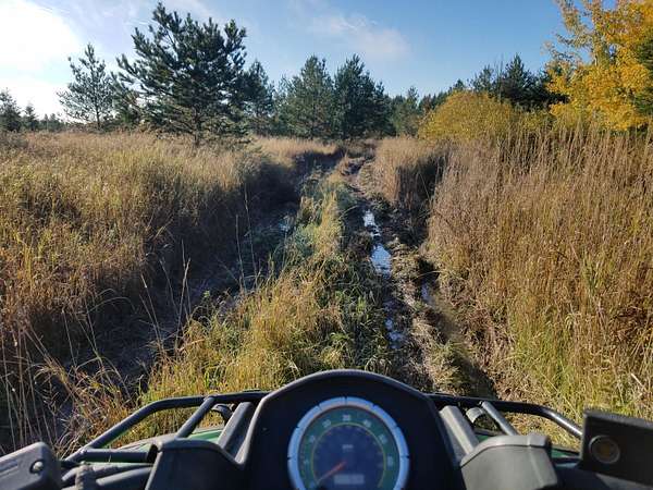 40 Acres of Recreational Land for Sale in Barbeau, Michigan