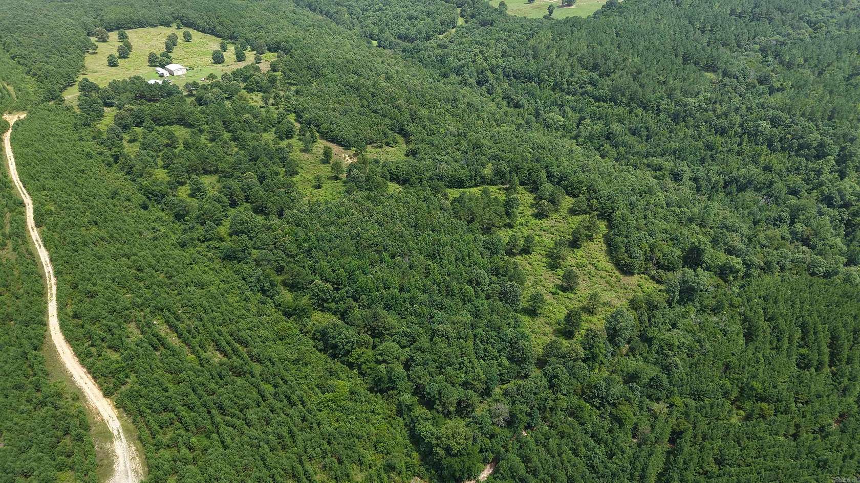 40 Acres of Recreational Land for Sale in Grannis, Arkansas