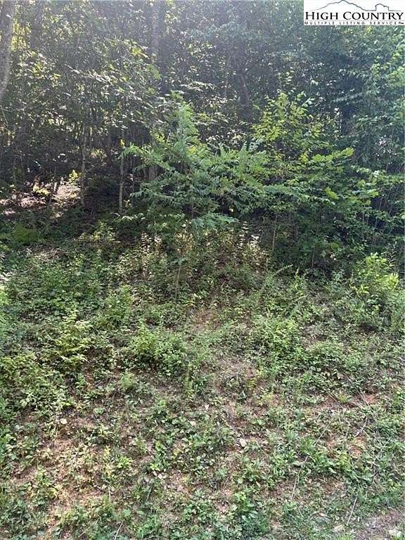 1 Acre of Land for Sale in Banner Elk, North Carolina