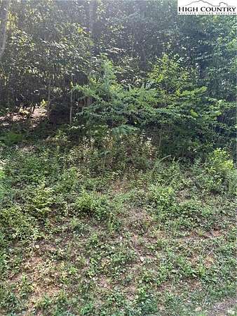 1 Acre of Land for Sale in Banner Elk, North Carolina
