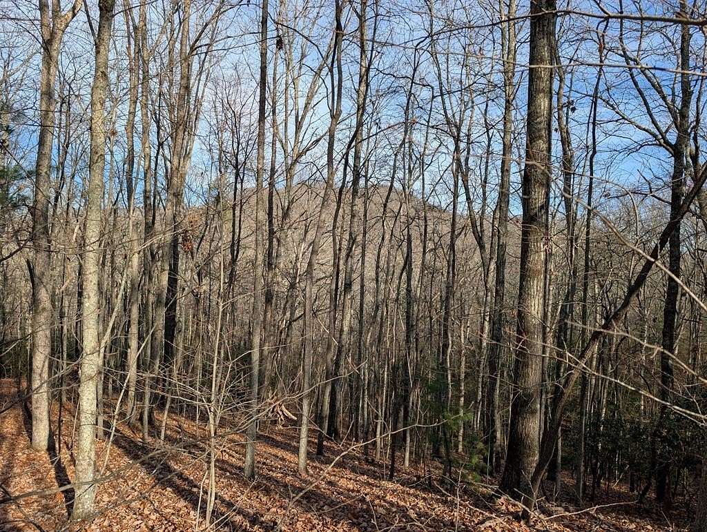 1 Acre of Residential Land for Sale in Murphy, North Carolina