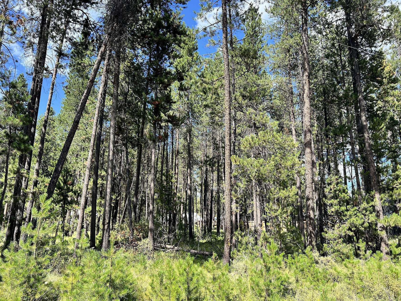 0.47 Acres of Residential Land for Sale in Bend, Oregon
