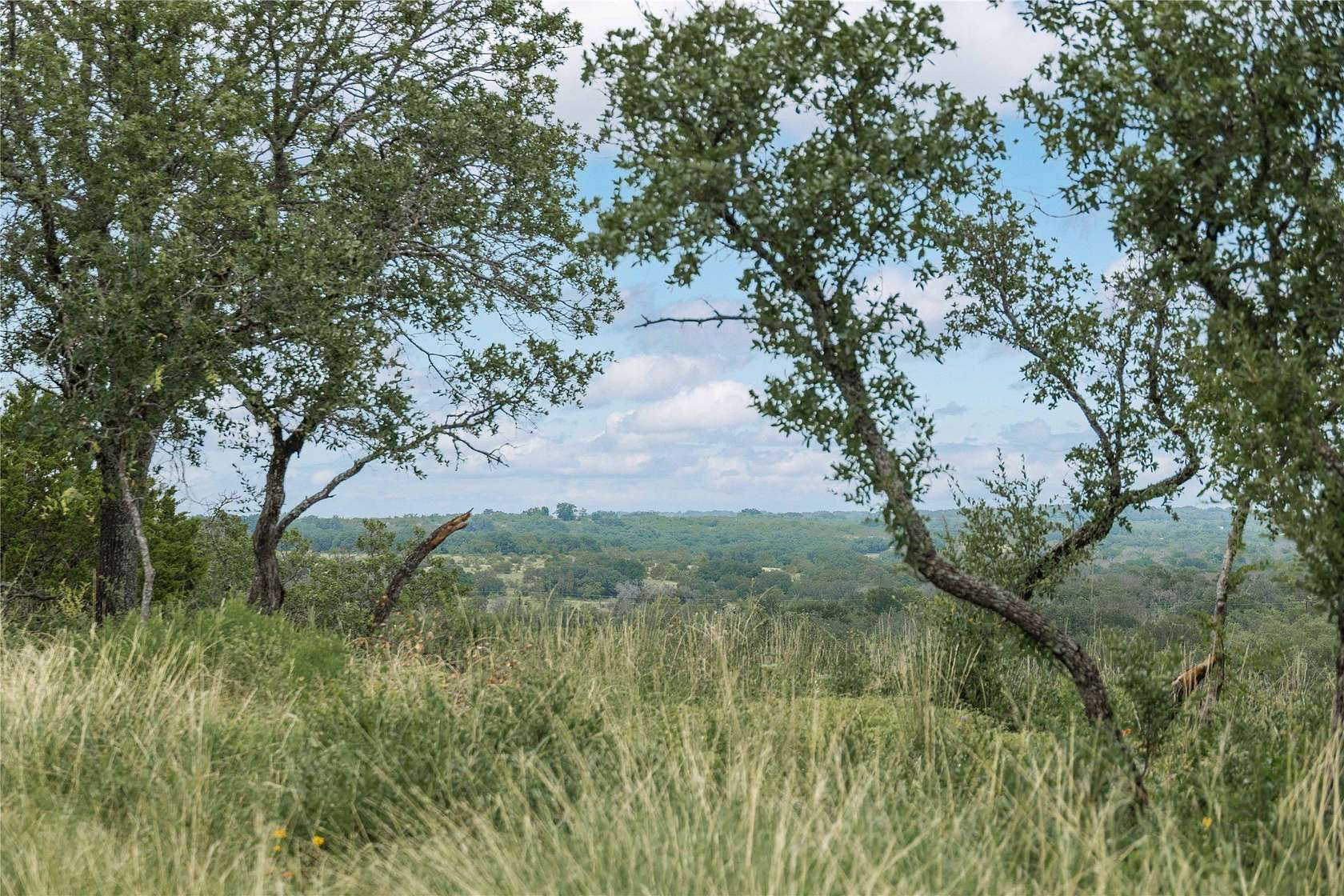 25 Acres of Land for Sale in Blanket, Texas