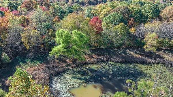 7.14 Acres of Land for Sale in West Fork, Arkansas