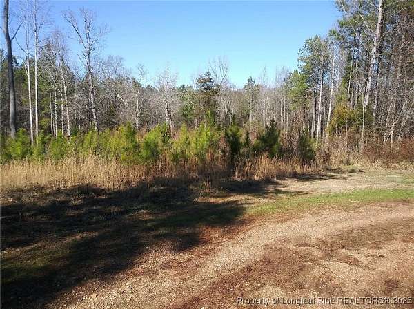 3 Acres of Land for Sale in Robbins, North Carolina