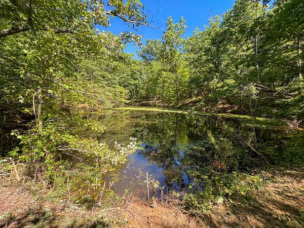 75.4 Acres of Recreational Land for Sale in Willow Springs, Missouri