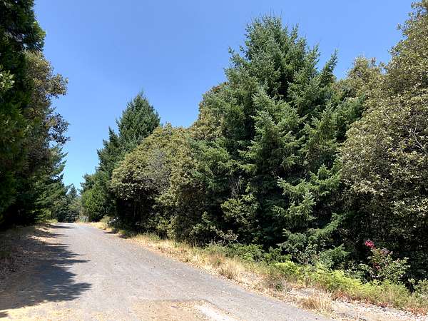 0.32 Acres of Residential Land for Sale in Whitethorn, California